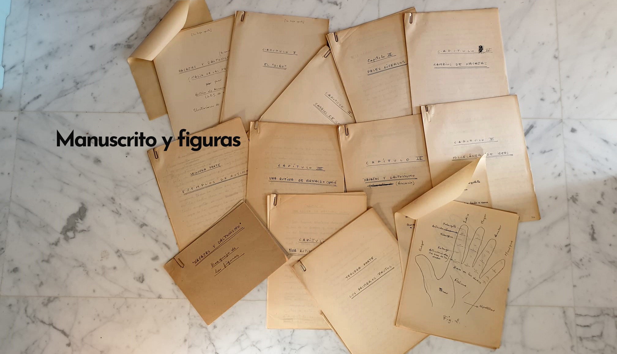 Manuscrito y figuras